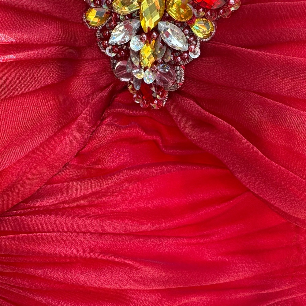 Flamenco or Queen of Hearts layered dress w tulle skirt - Picture 5 of 7